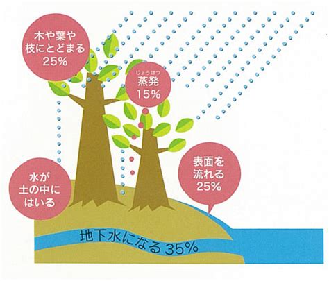 涵養水源的意思|水源涵養